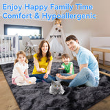 HioHa Area Rugs ,5ftx8ft Shaggy Area Rugs for Living Room Bedroom，Soft Fluffy Rugs& Plush Decorative Rug for Indoor Home Floor Carpet Mat Dark Gray