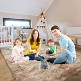 HioHa Area Rugs ,5ftx8ft Shaggy Area Rugs for Living Room Bedroom，Soft Fluffy Rugs& Plush Decorative Rug for Indoor Home Floor Carpet Mat Khaki